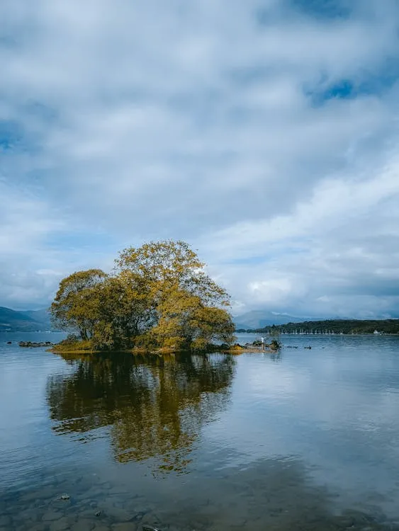 Calm lake surrounded by trees and gentle hills reflected in still water under a soft sky
